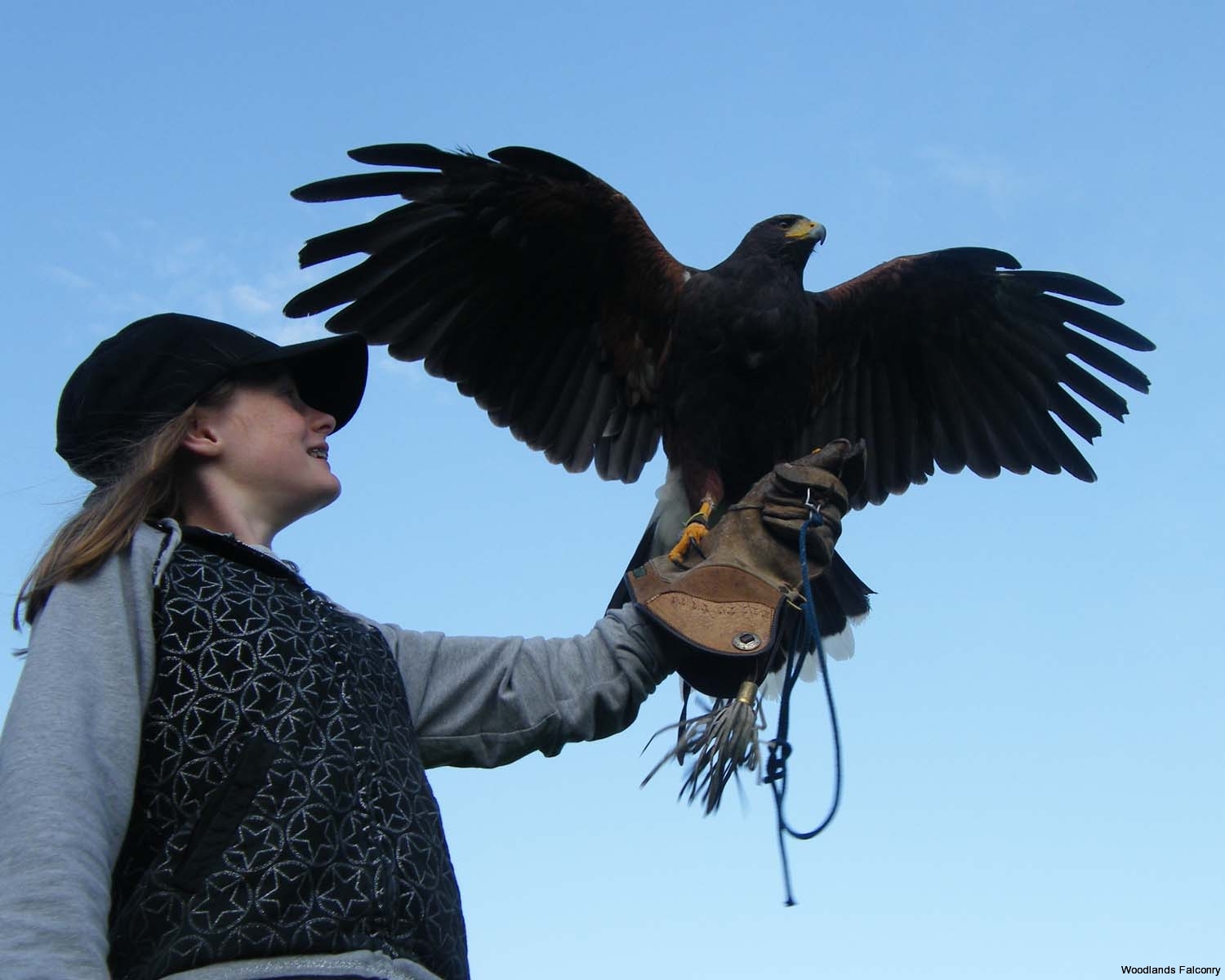 International Association for Falconry and Conservation of